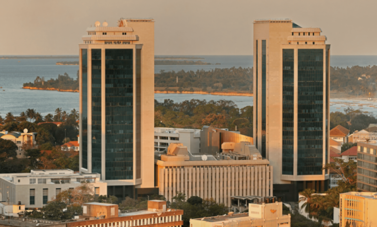 BoT issues licence to new payment service firm