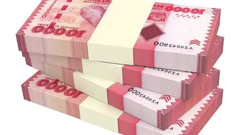 TCCIA Investment to raise over 10bn/- through shares